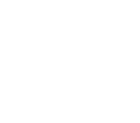 white-logo-icon