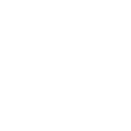 white-star white-star